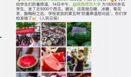 吃瓜学校全集免费看